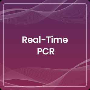 Real-Time PCR